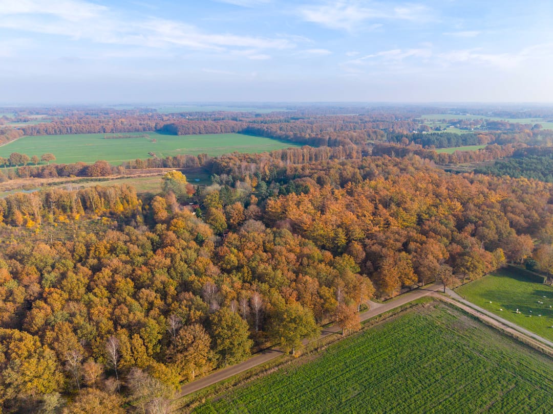 Photo 38 of Meentheweg 16