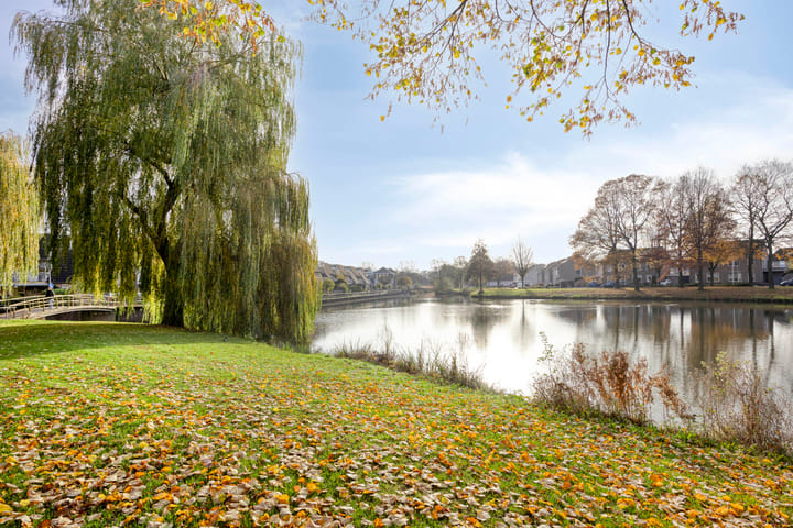 Foto 41 van Colenbranderstraat 2