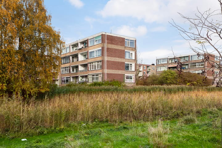 Photo 33 of Datheenstraat 225