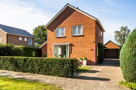 undefined main image