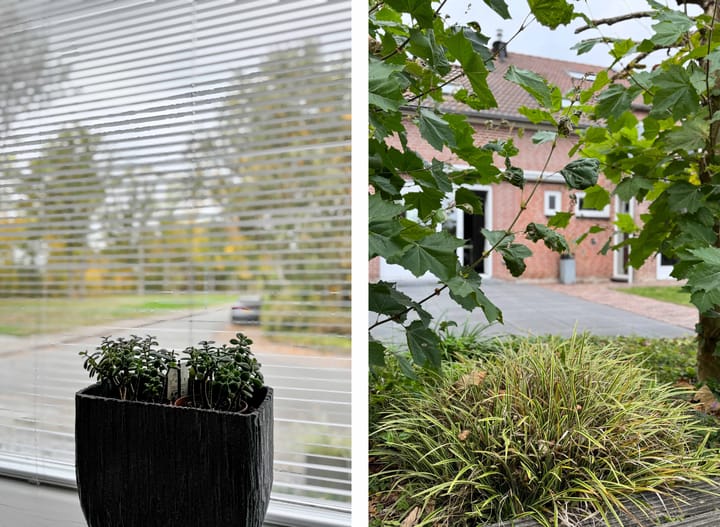 Foto 43 van Klaprooslaan 71