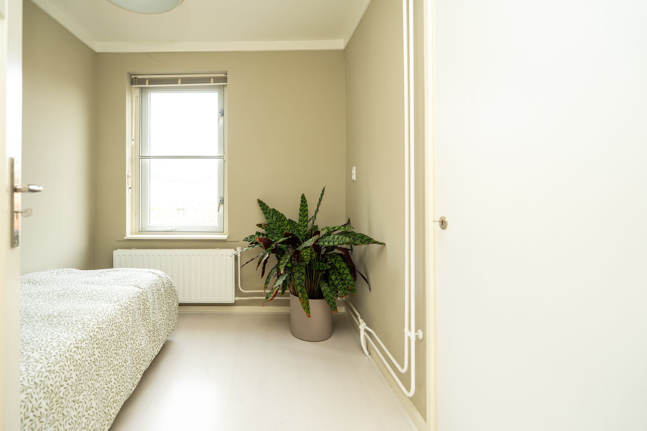 Photo 24 of Deken de Raetstraat 8