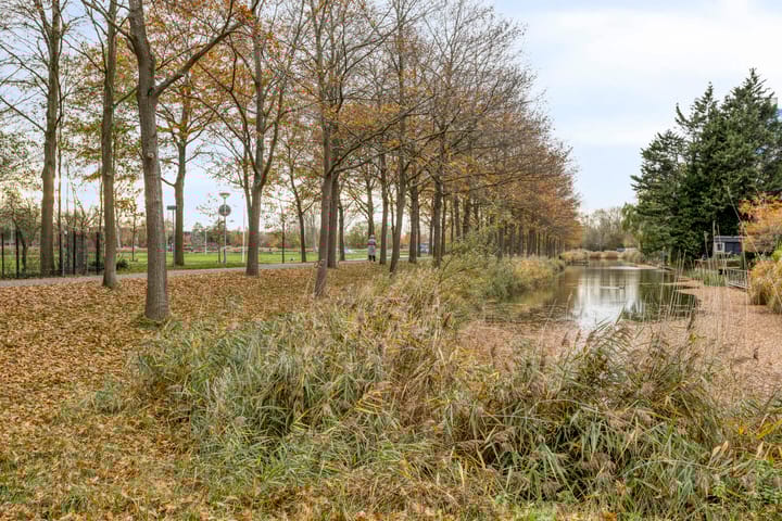 Photo 40 of Beukenstraat 69