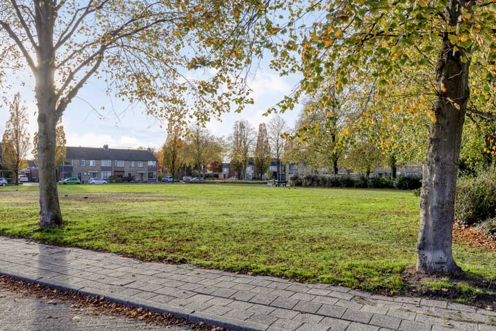 Photo 78 of Torenbaan 3