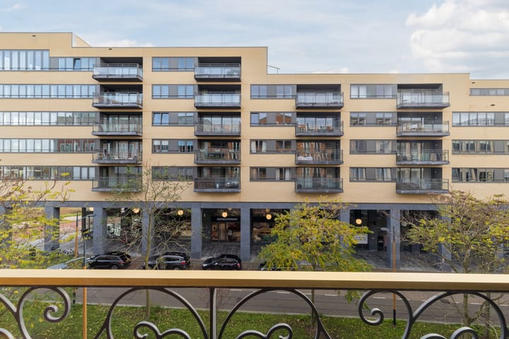 Foto 27 van Parijsboulevard 165