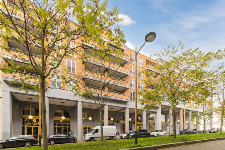 Foto 46 van Parijsboulevard 165