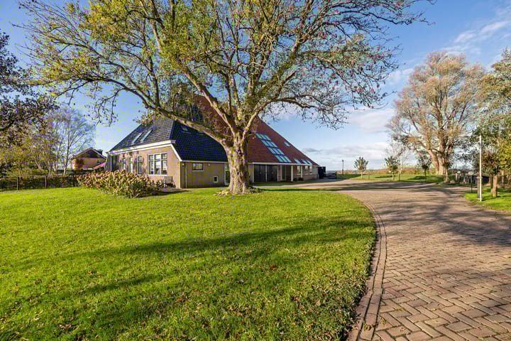 Photo 11 of Marwei 75