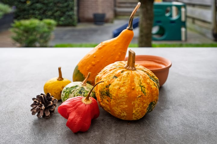 Foto 27 van Hoetinkhof 187