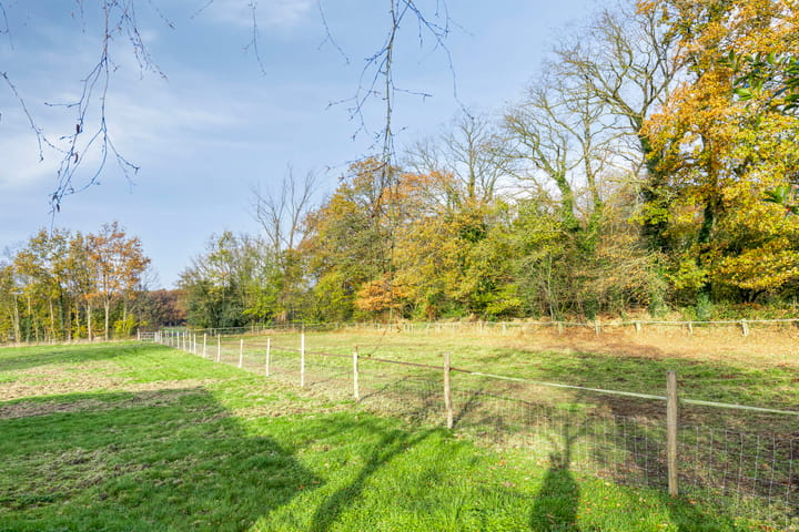 Foto 46 van Tynaarlosestraat 49-A