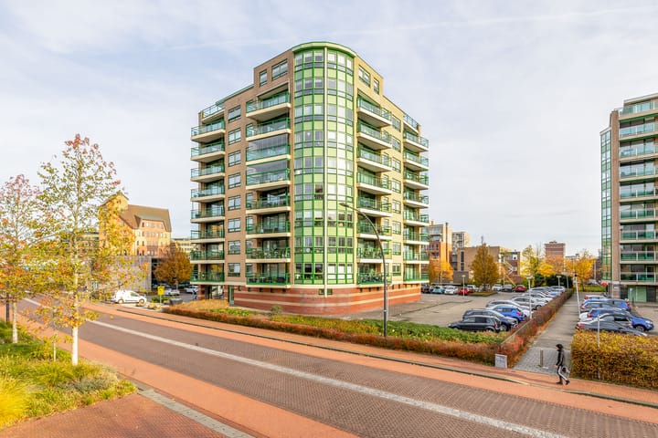 Foto 1 van Parelduiker 64