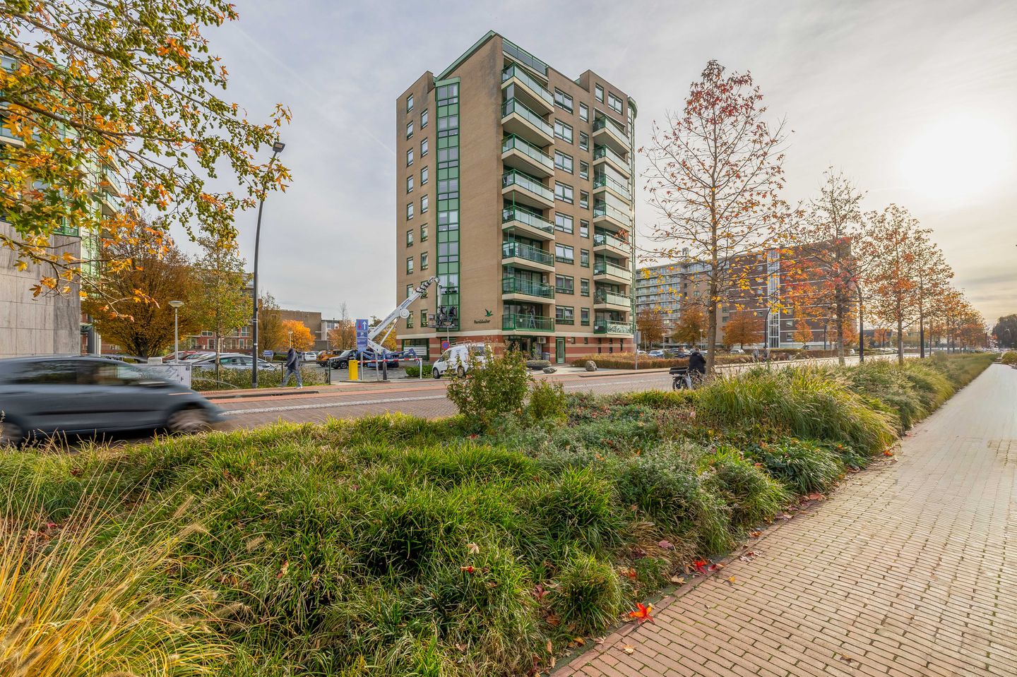 Foto 5 van Parelduiker 64