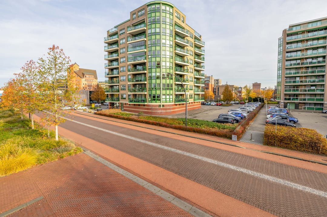 Foto 8 van Parelduiker 64