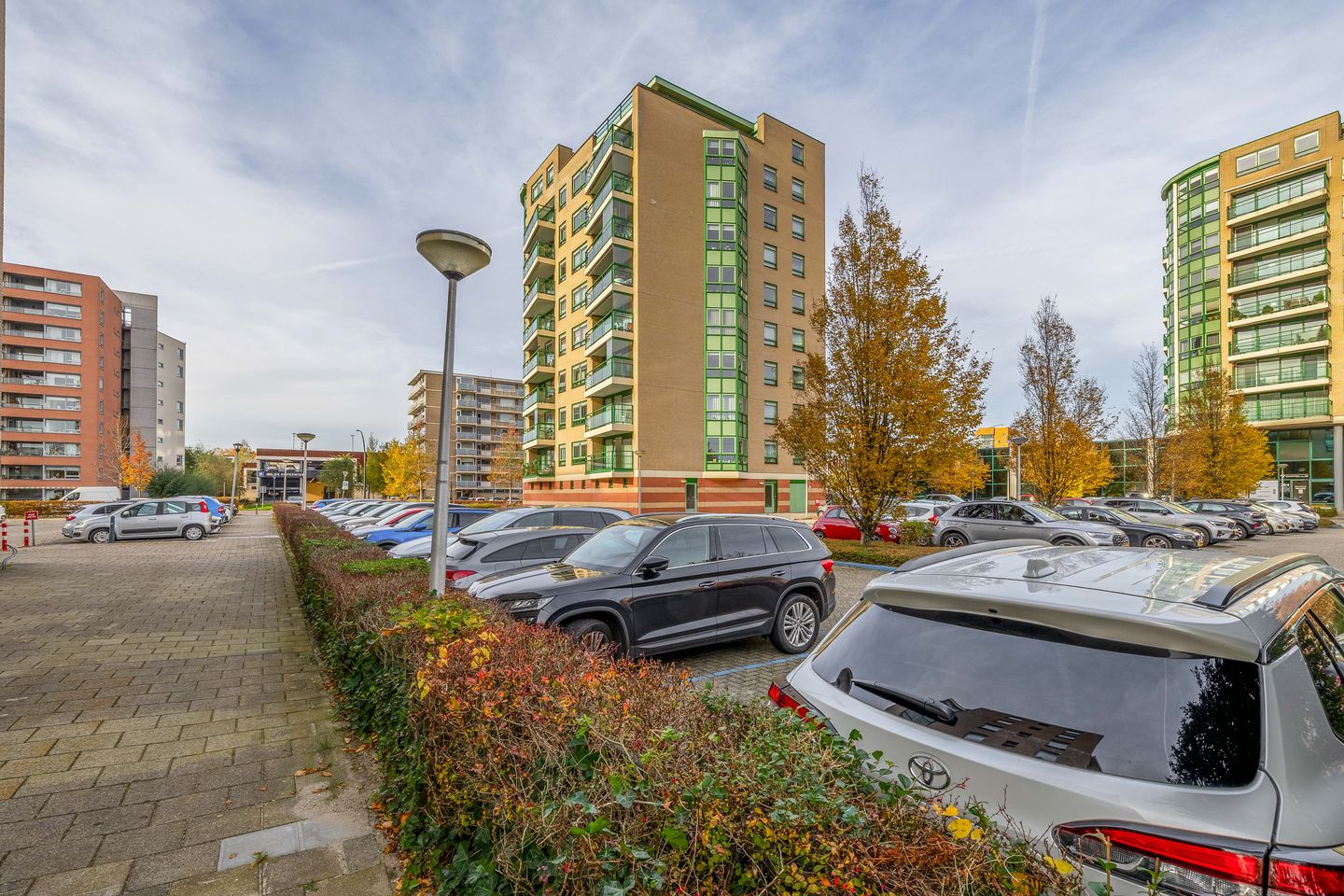 Foto 10 van Parelduiker 64