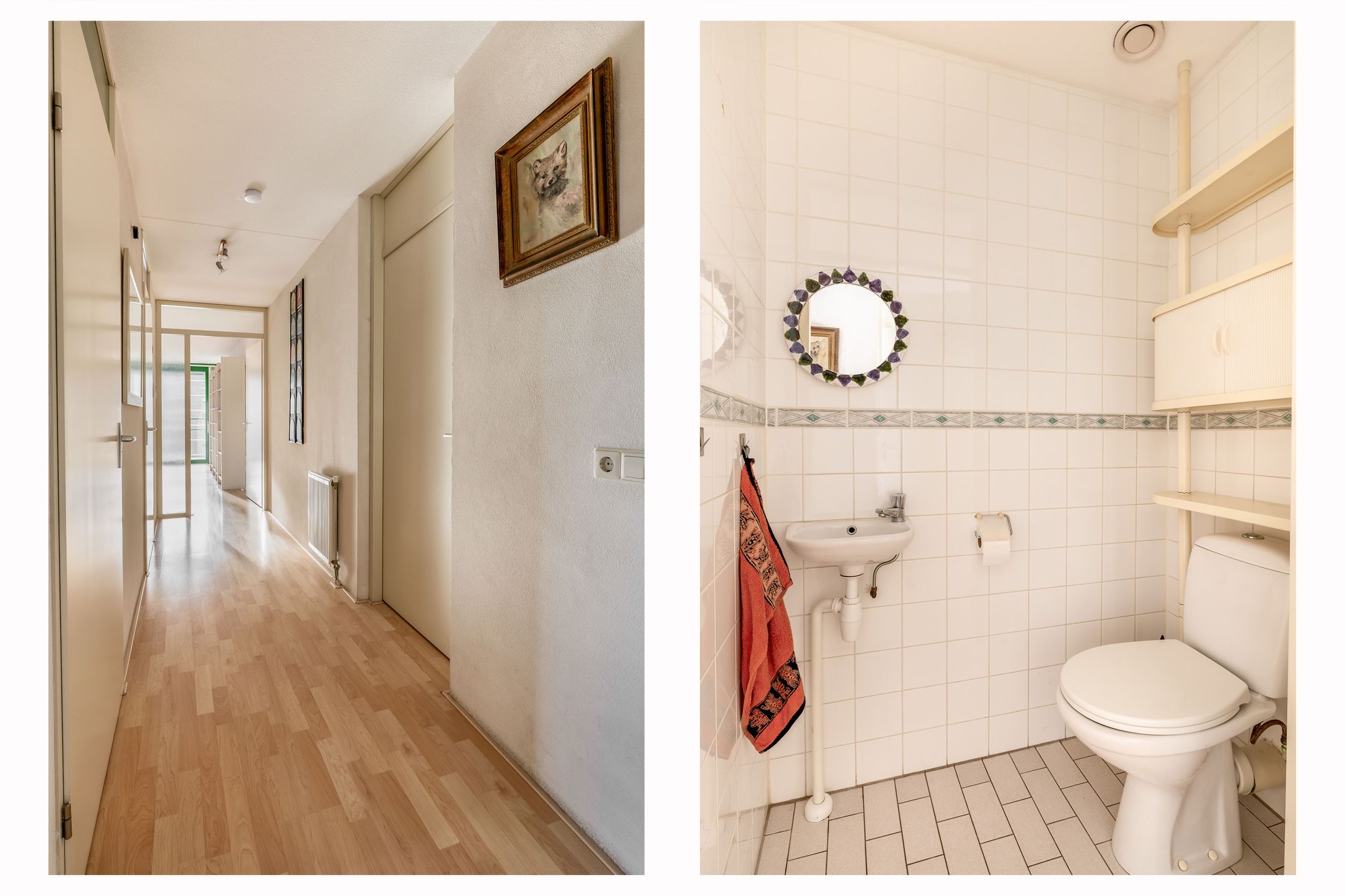 Foto 18 van Parelduiker 64