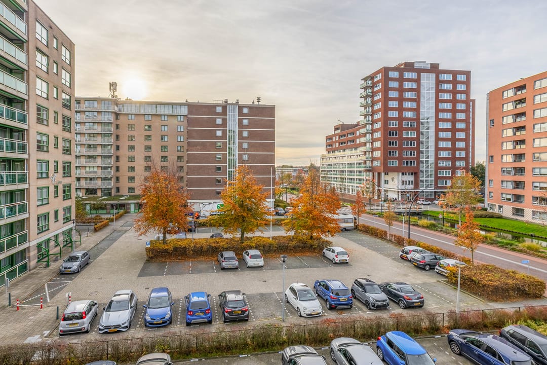 Foto 32 van Parelduiker 64