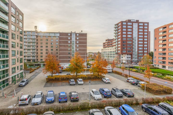 Foto 32 van Parelduiker 64