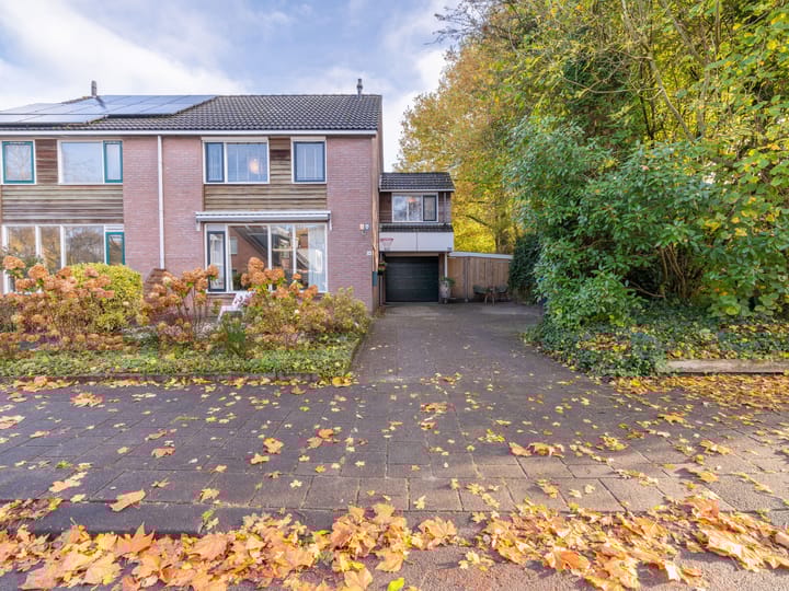 Foto 2 van De Twee Gebroeders 138