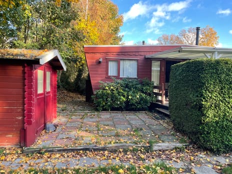 undefined main image