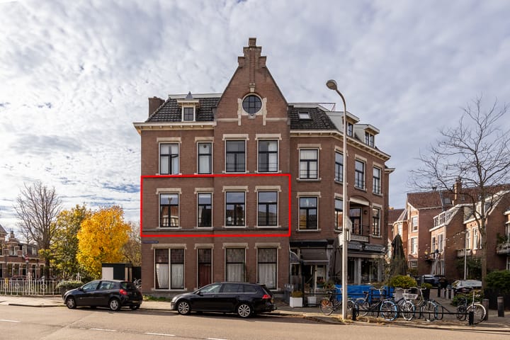 Stadhouderslaan 103