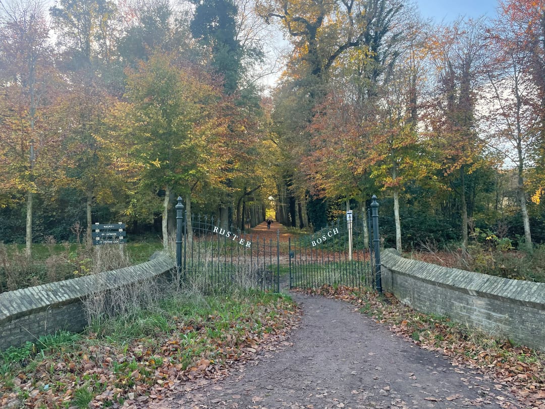 Foto 23 van Marderleane 4