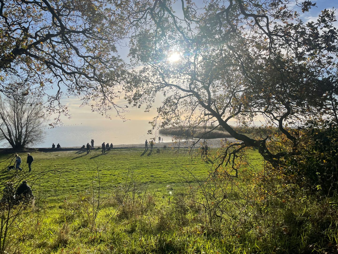 Foto 25 van Marderleane 4