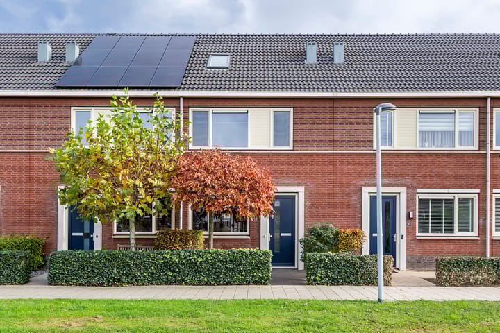 Photo 1 of Gentiaanblauwtje 11