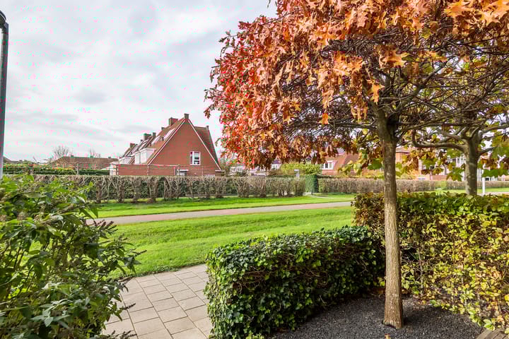 Photo 4 of Gentiaanblauwtje 11