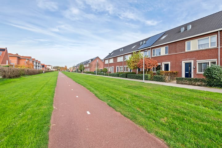 Photo 36 of Gentiaanblauwtje 11