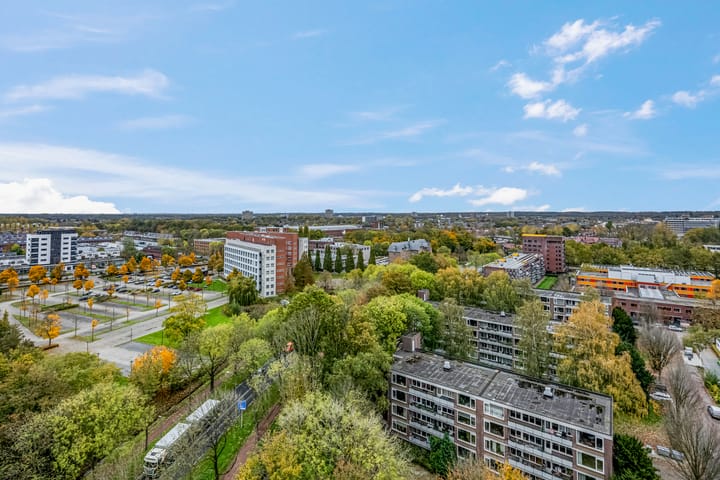 Photo 32 of Thorbeckestraat 244