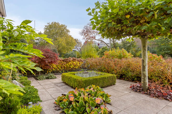 Foto 29 van Paltrokmolen 9