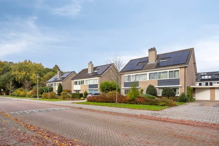 Foto 35 van Paltrokmolen 9