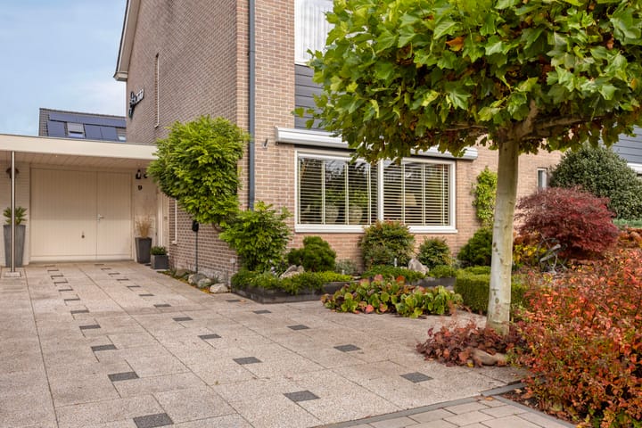 Foto 37 van Paltrokmolen 9