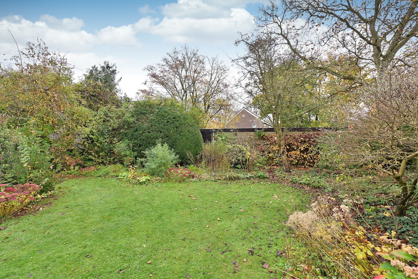 Photo 5 of van Ostadelaan 13