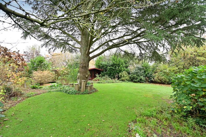 Photo 10 of van Ostadelaan 13