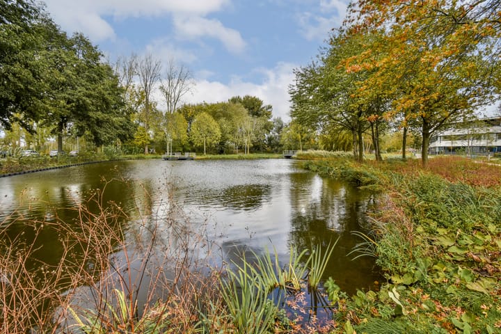 Foto 29 van Bleulandweg 310