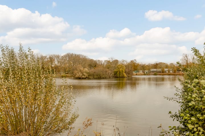 Photo 40 of Vijverhof 29