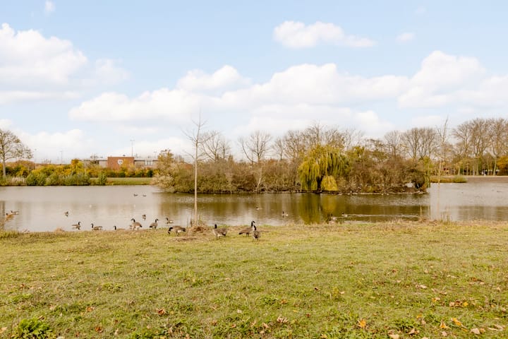 Photo 42 of Vijverhof 29