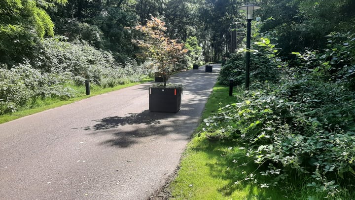 Foto 36 van Korhoen 32