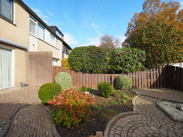 Photo 45 of Trasmolen 2