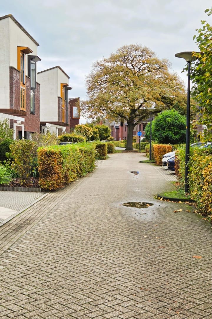 Photo 8 of Alexander Voormolenstraat 10