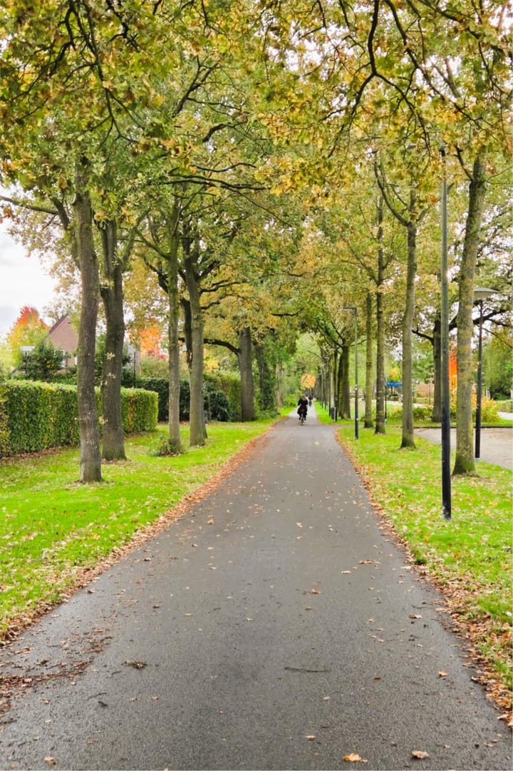 Photo 48 of Alexander Voormolenstraat 10