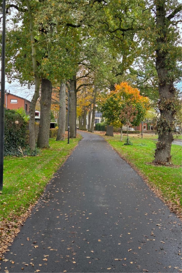 Photo 50 of Alexander Voormolenstraat 10