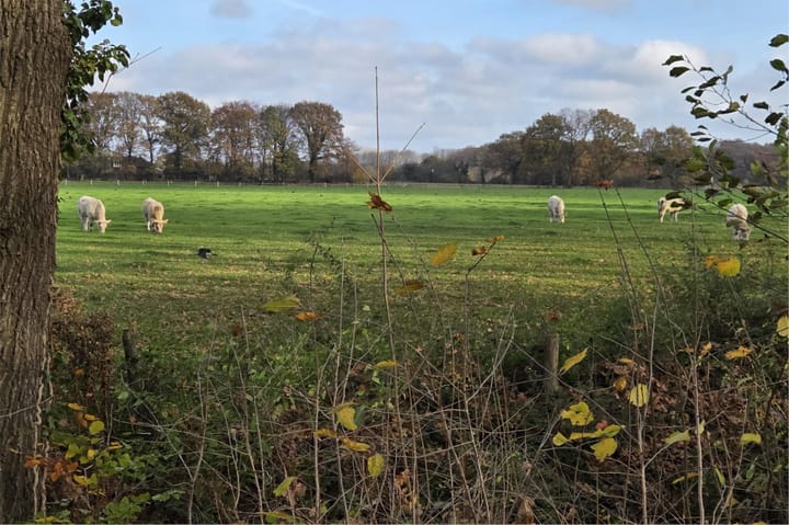 Photo 52 of Alexander Voormolenstraat 10