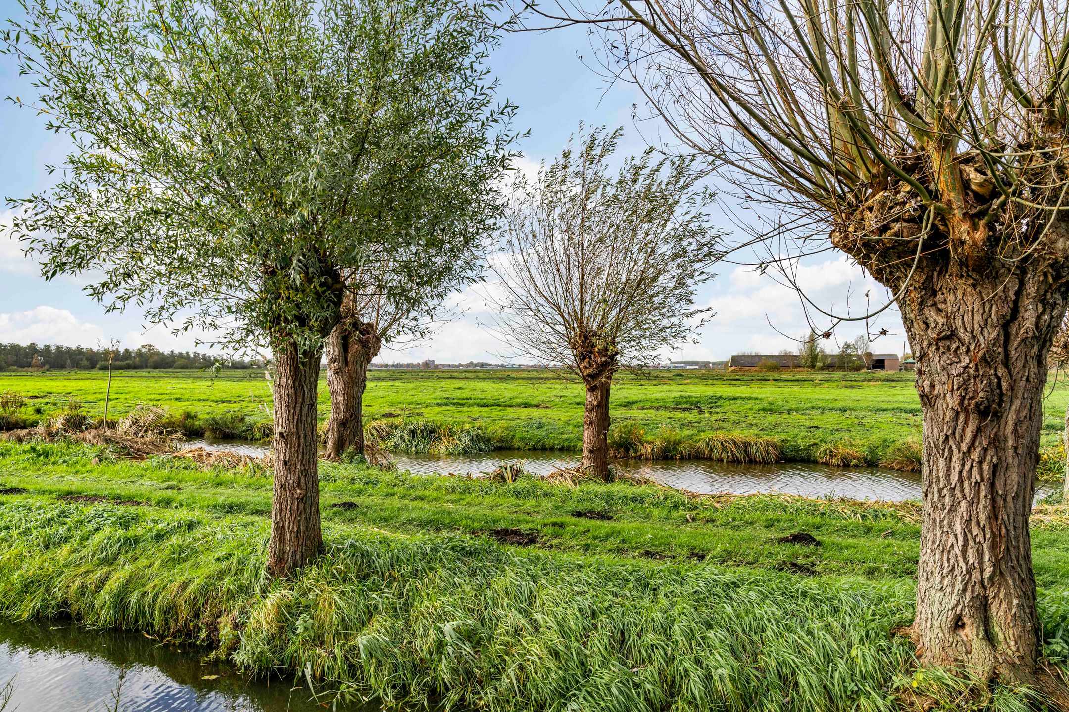 Photo 51 of Dodaarslaan 146