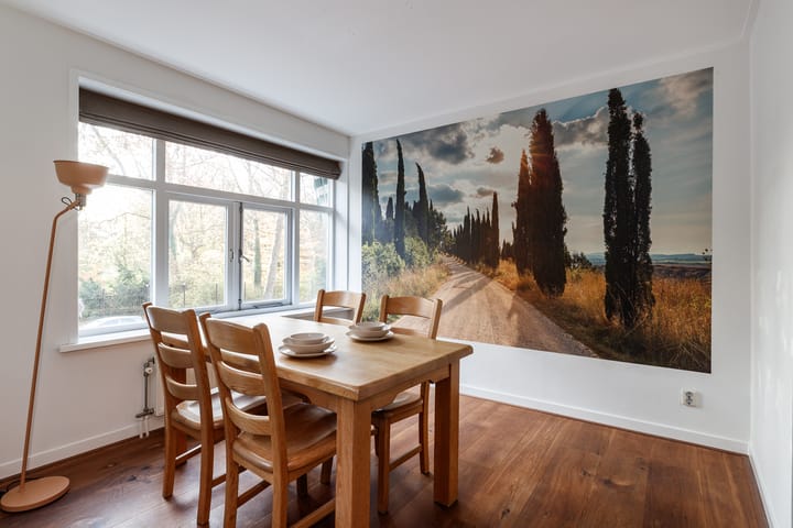 Photo 5 of Amsterdamsestraatweg 449-A