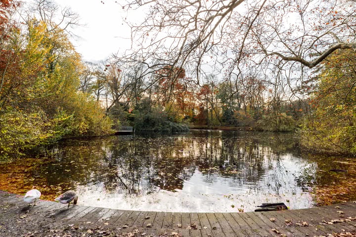 Photo 13 of Amsterdamsestraatweg 449-A