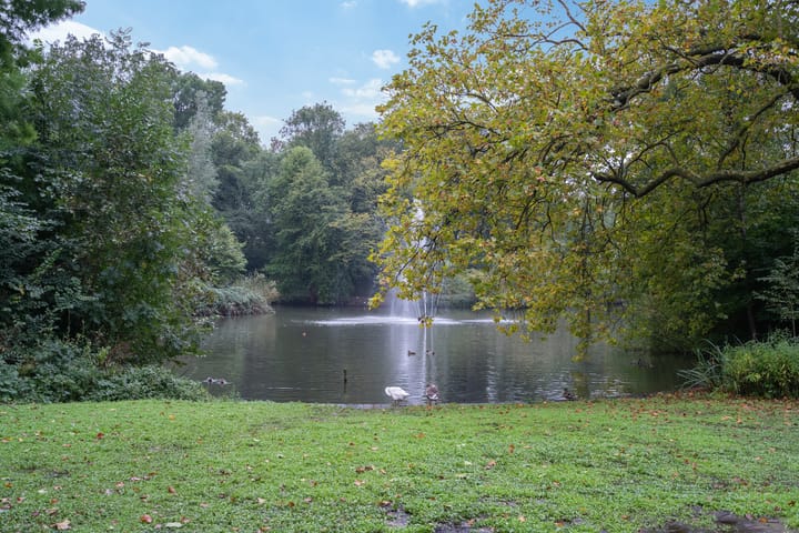 Photo 15 of Amsterdamsestraatweg 449-A