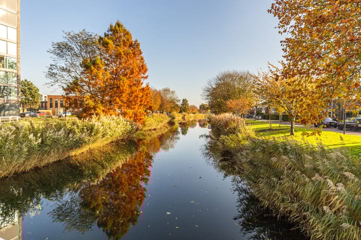 Photo 34 of Avenue Carnisse 125