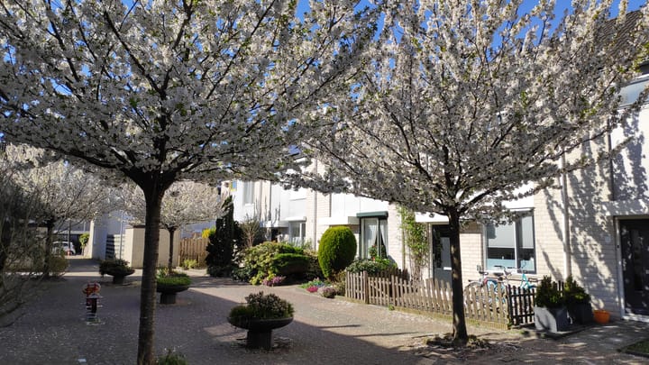 Foto 30 van Brasemstraat 10