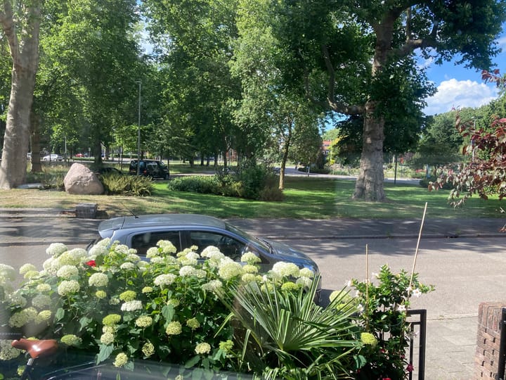 Foto 47 van Prinses Marijkelaan 1